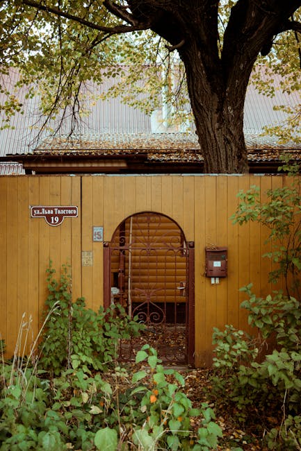 Children playing with outdoor equipment in a backyard